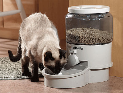 Automatic cat feeder